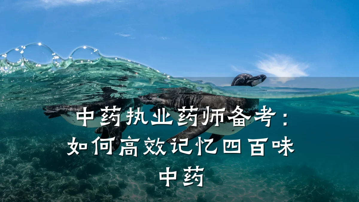 中药执业药师备考:如何高效记忆四百味中药