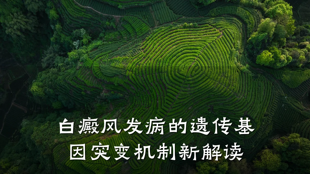 白癜风发病的遗传基因突变机制新解读