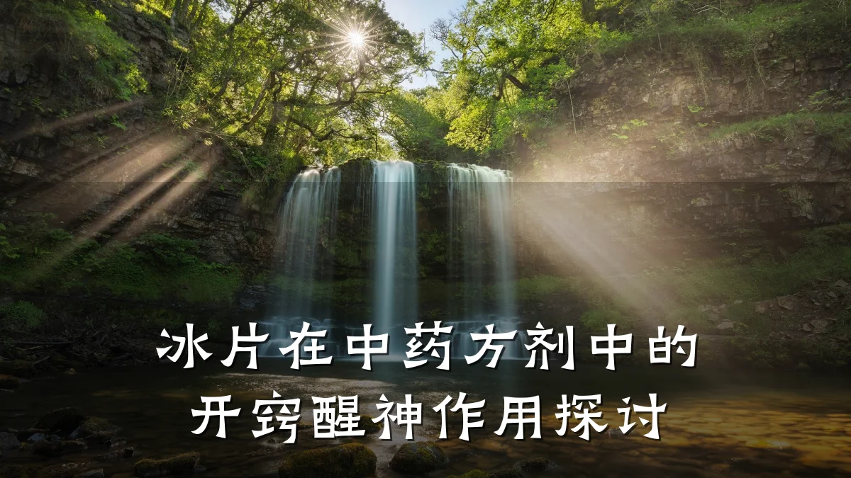 冰片在中药方剂中的开窍醒神作用探讨