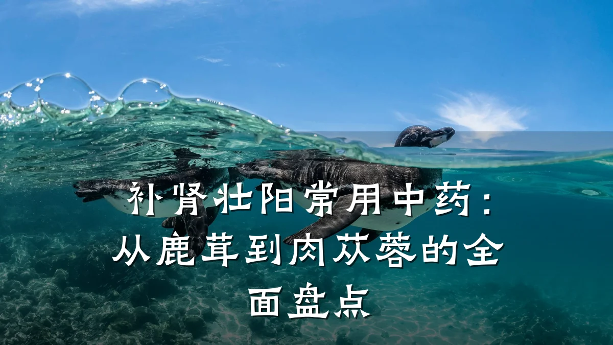 补肾壮阳常用中药:从鹿茸到肉苁蓉的全面盘点
