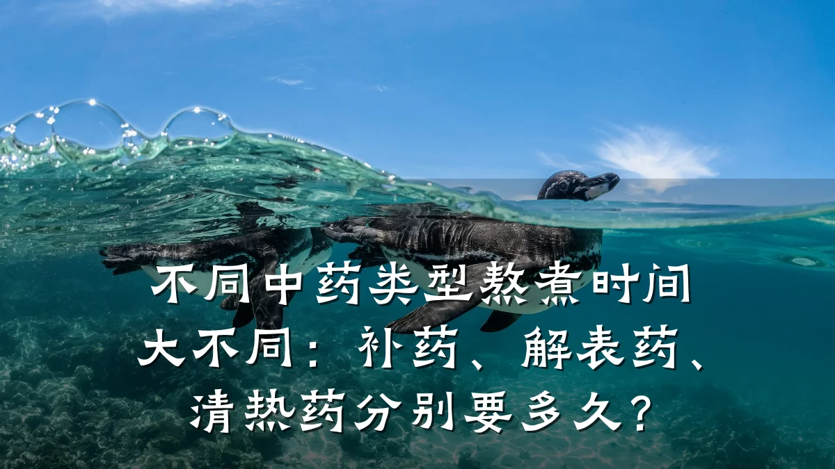 不同中药类型熬煮时间大不同:补药、解表药、清热药分别要多久?