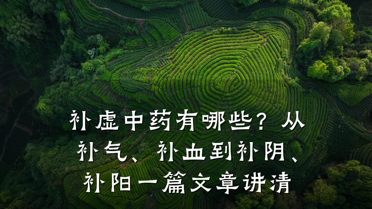 补虚中药有哪些?从补气、补血到补阴、补阳一篇文章讲清