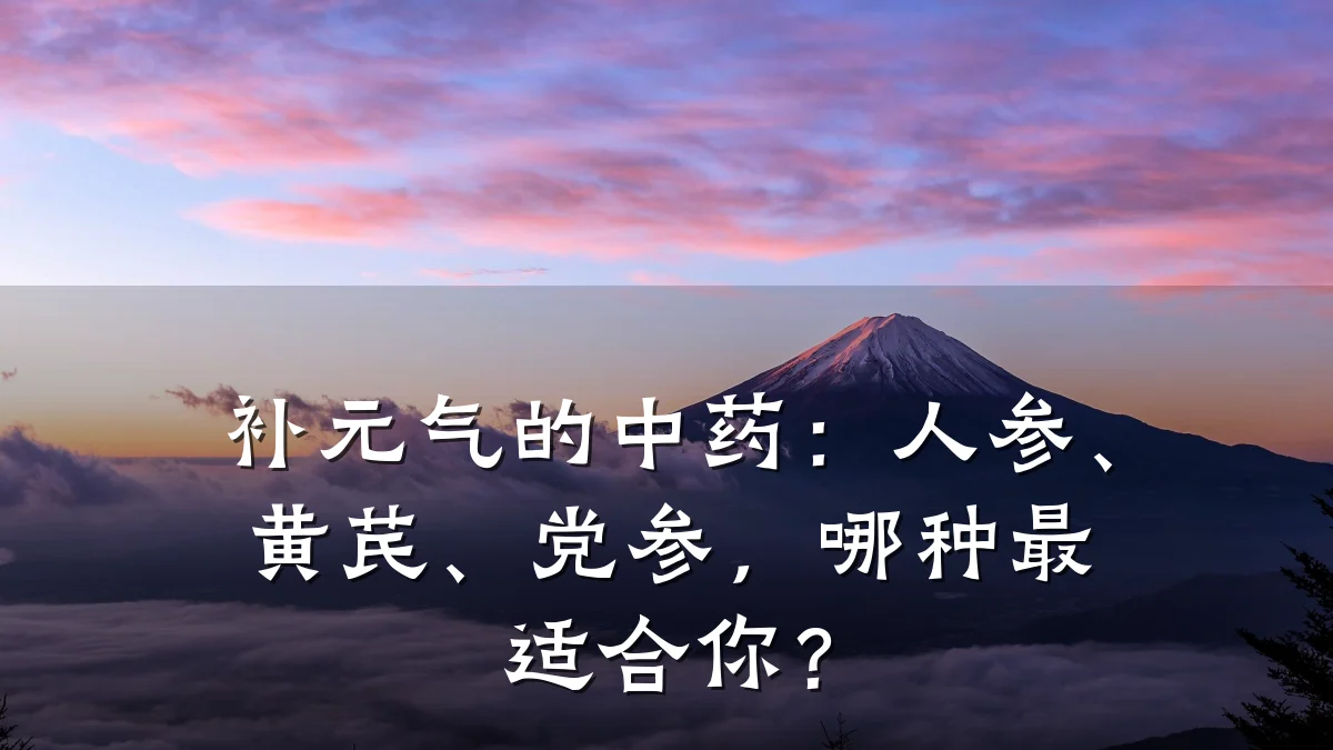 补元气的中药:人参、黄芪、党参,哪种最适合你?