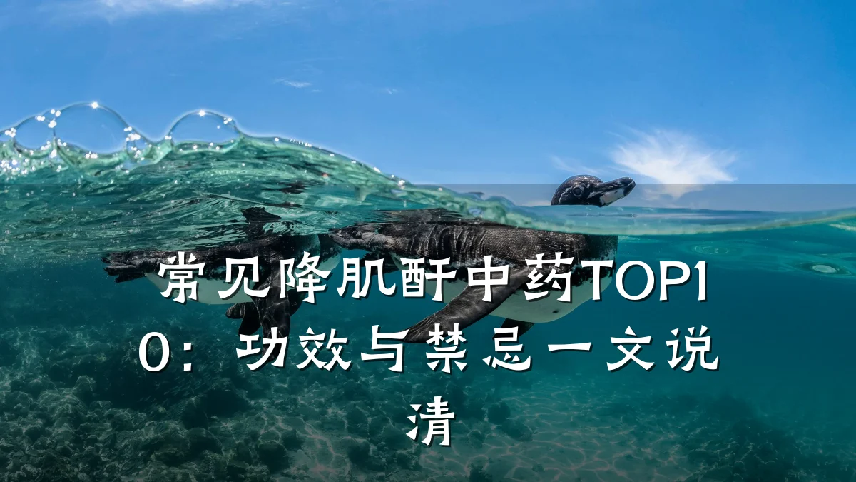 常见降肌酐中药TOP10:功效与禁忌一文说清