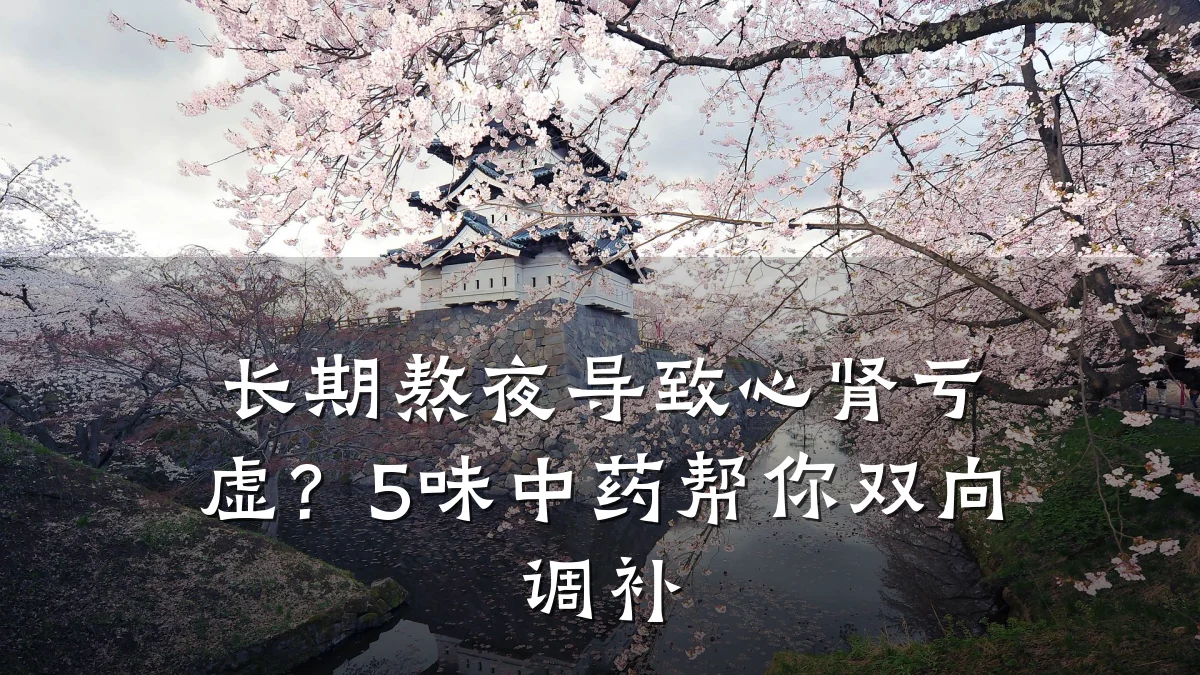 长期熬夜导致心肾亏虚？5味中药帮你双向调补
