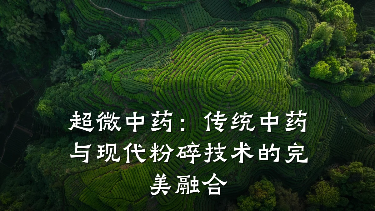 超微中药:传统中药与现代粉碎技术的完美融合