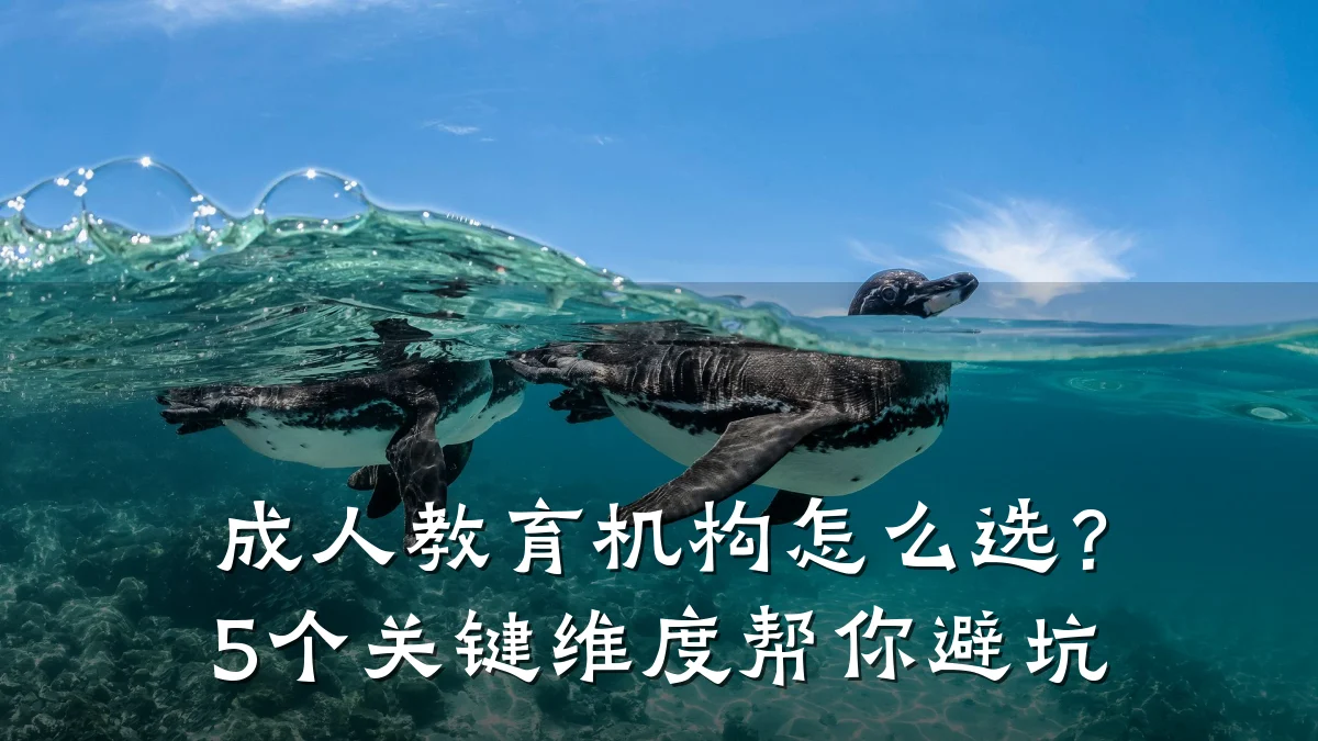 成人教育机构怎么选？5个关键维度帮你避坑