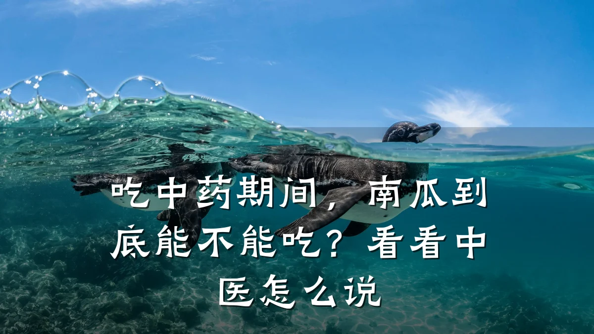 吃中药期间,南瓜到底能不能吃?看看中医怎么说