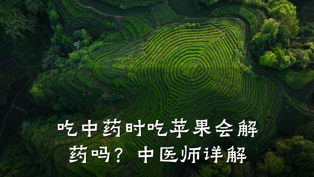 吃中药时吃苹果会解药吗?中医师详解