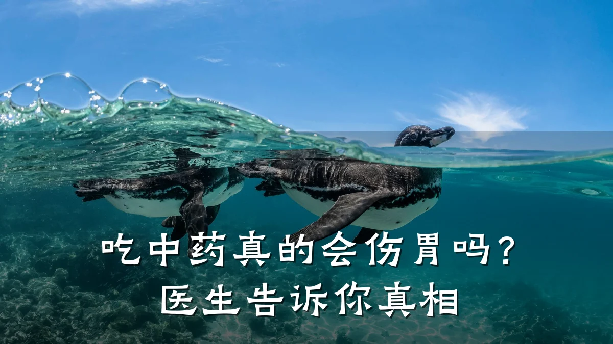 吃中药真的会伤胃吗?医生告诉你真相
