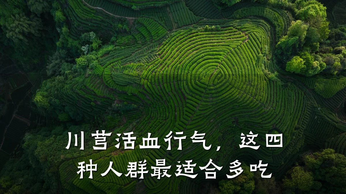 川芎活血行气,这四种人群最适合多吃