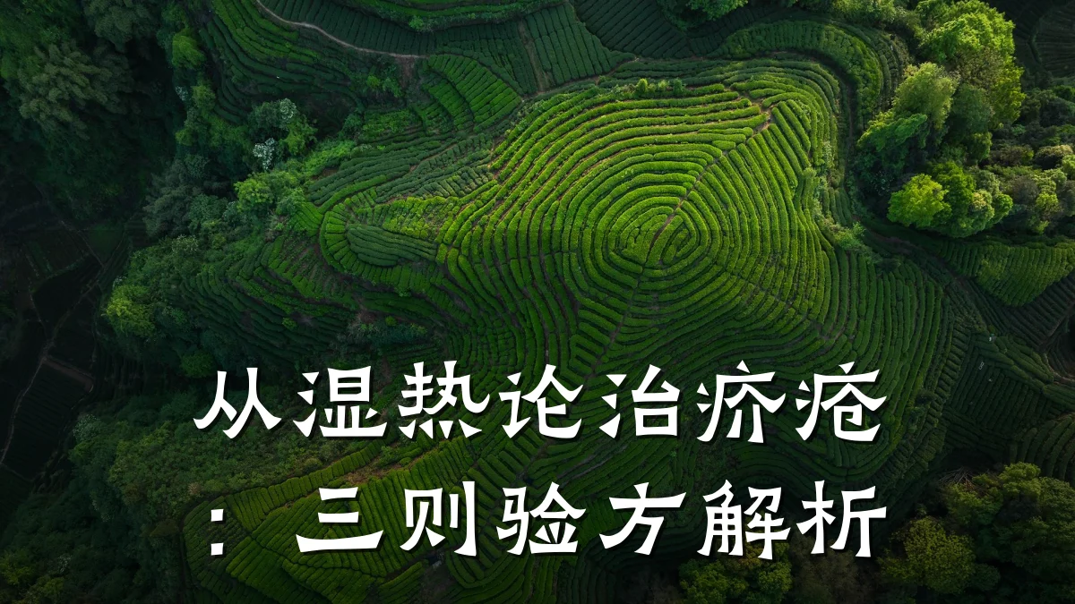 从湿热论治疥疮:三则验方解析