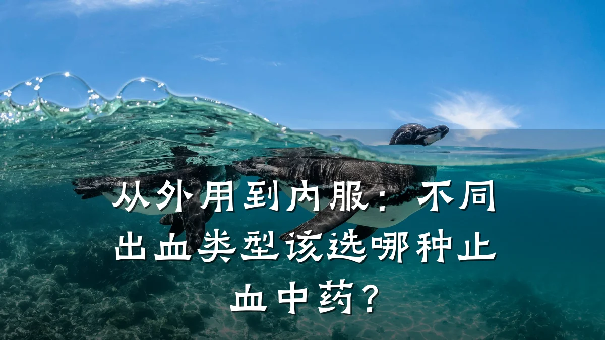 从外用到内服:不同出血类型该选哪种止血中药?