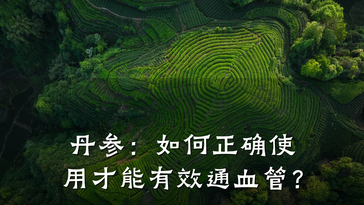丹参:如何正确使用才能有效通血管?