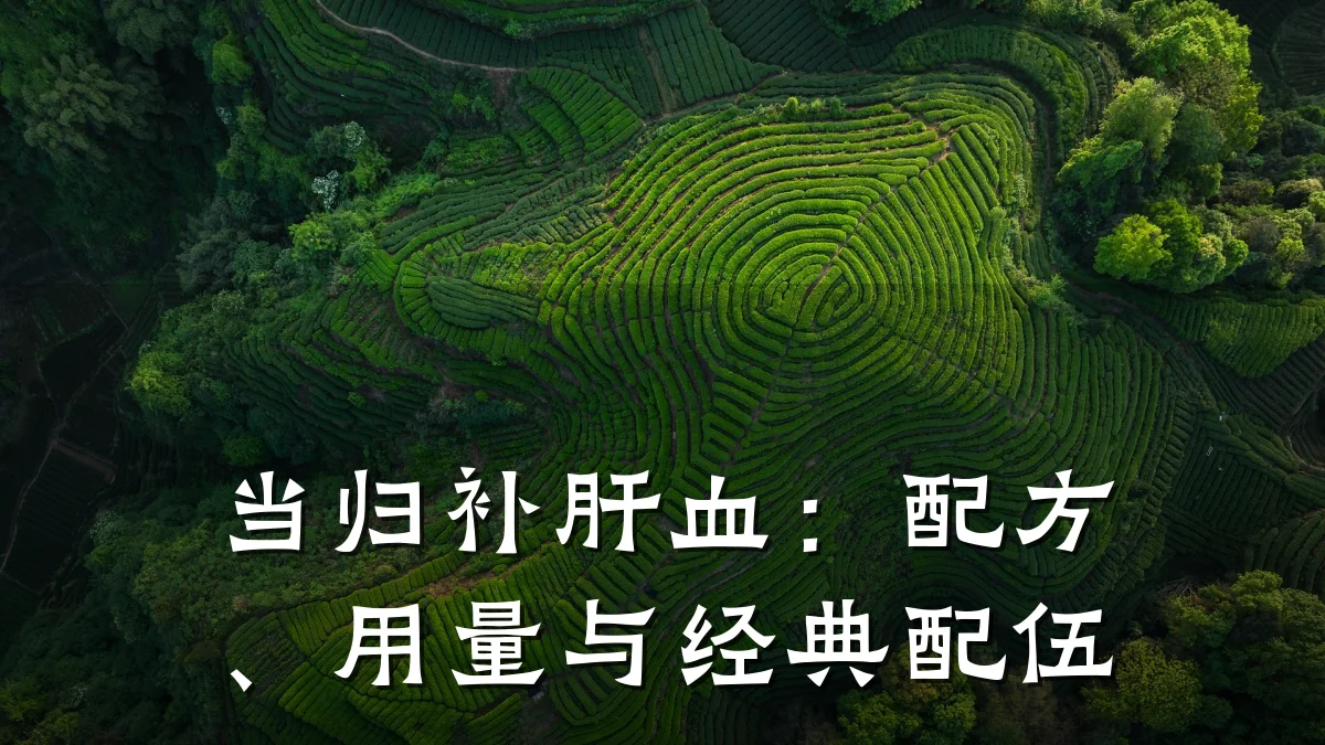 当归补肝血:配方、用量与经典配伍