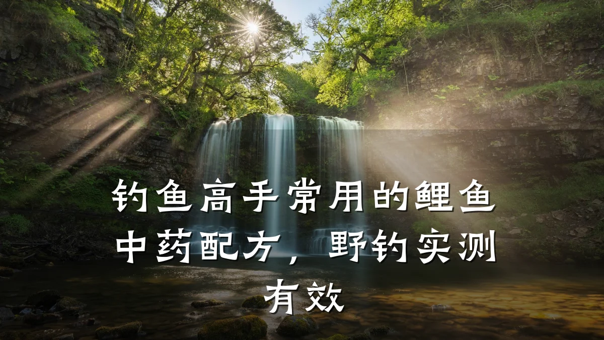 钓鱼高手常用的鲤鱼中药配方,野钓实测有效