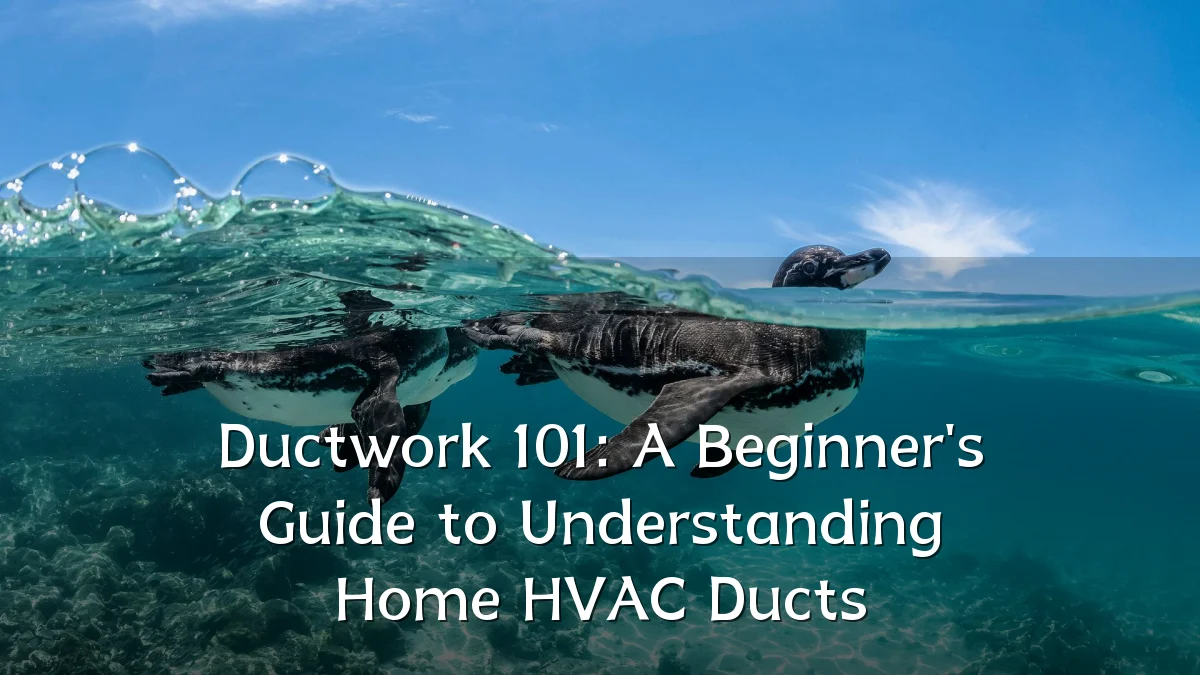Ductwork 101: A Beginner's Guide to Understanding Home HVAC Ducts