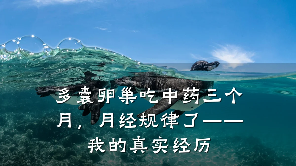 多囊卵巢吃中药三个月,月经规律了——我的真实经历