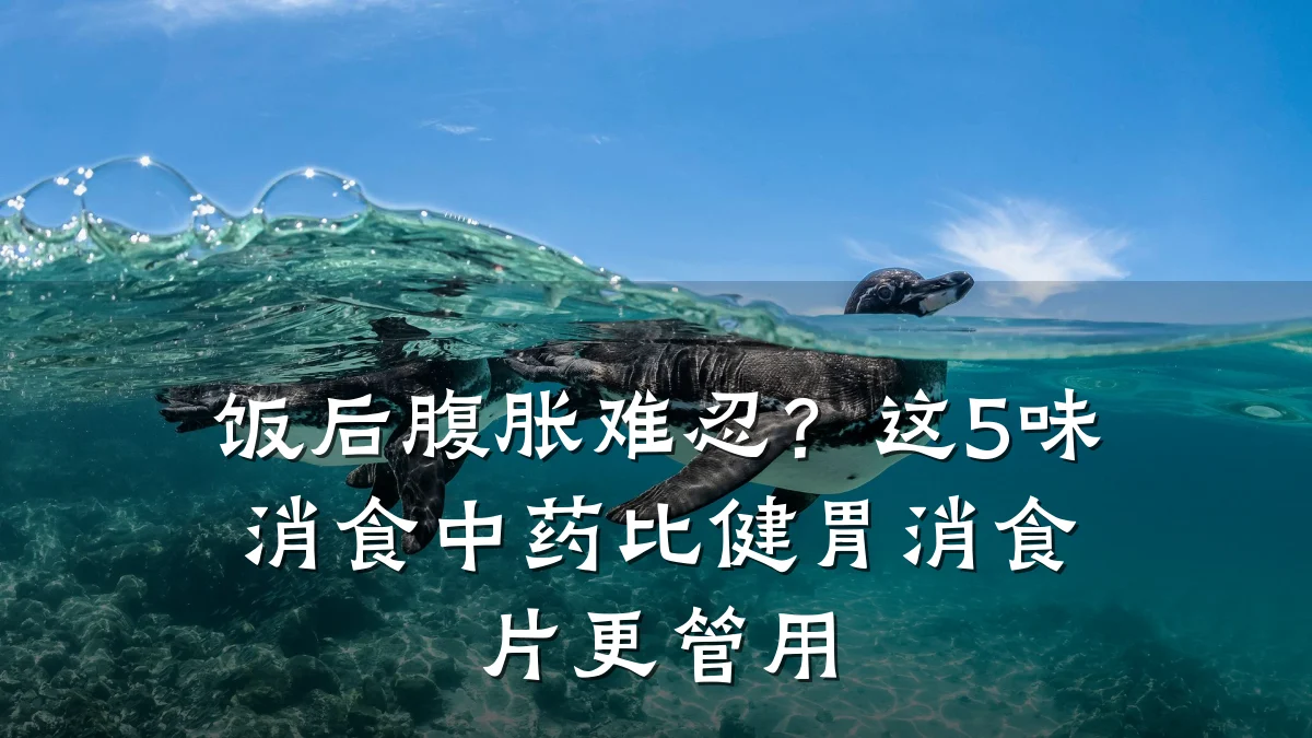 饭后腹胀难忍?这5味消食中药比健胃消食片更管用