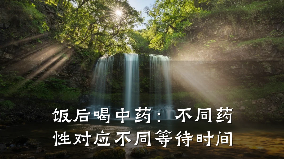 饭后喝中药:不同药性对应不同等待时间