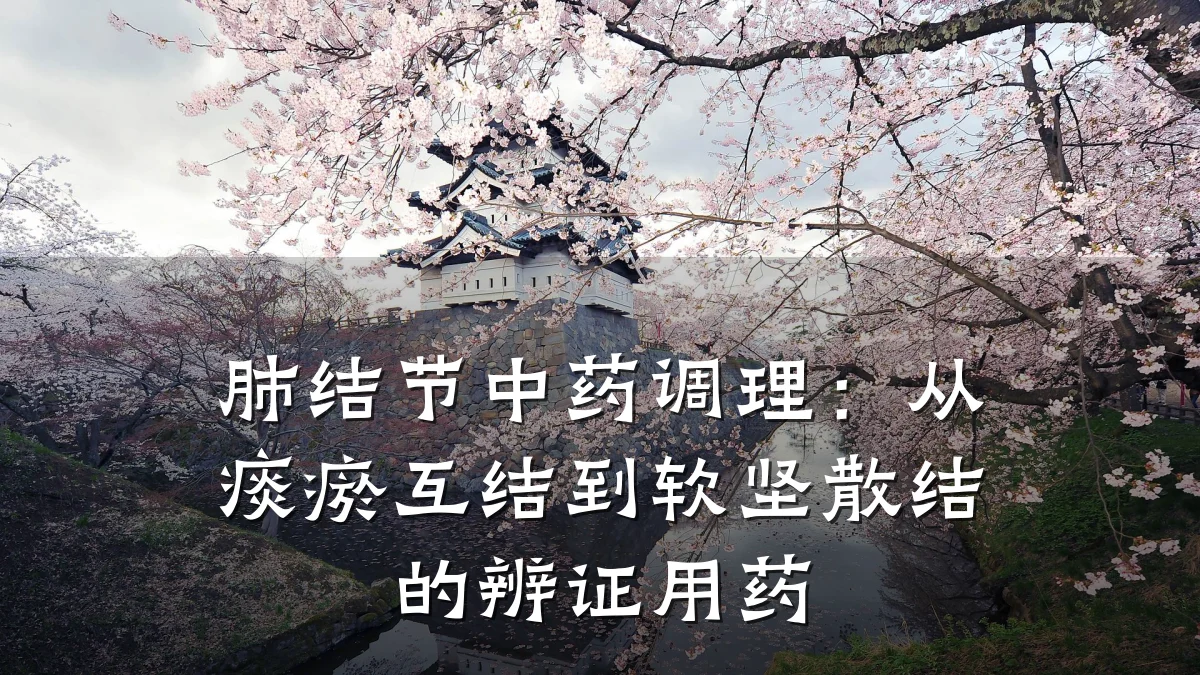 肺结节中药调理:从痰瘀互结到软坚散结的辨证用药