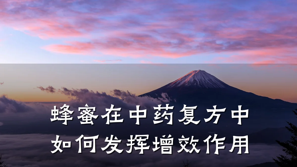 蜂蜜在中药复方中如何发挥增效作用