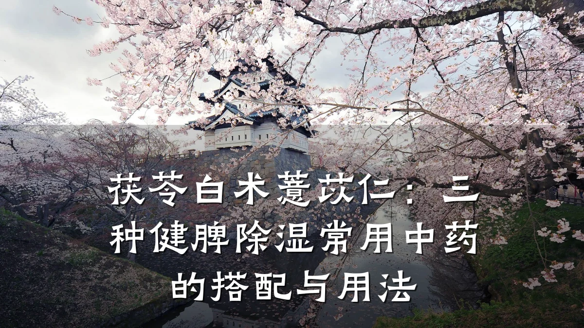 茯苓白术薏苡仁：三种健脾除湿常用中药的搭配与用法
