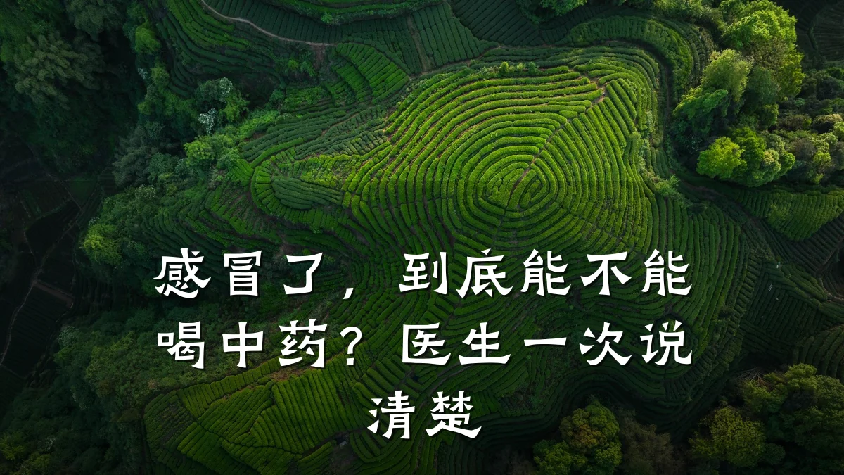 感冒了,到底能不能喝中药?医生一次说清楚