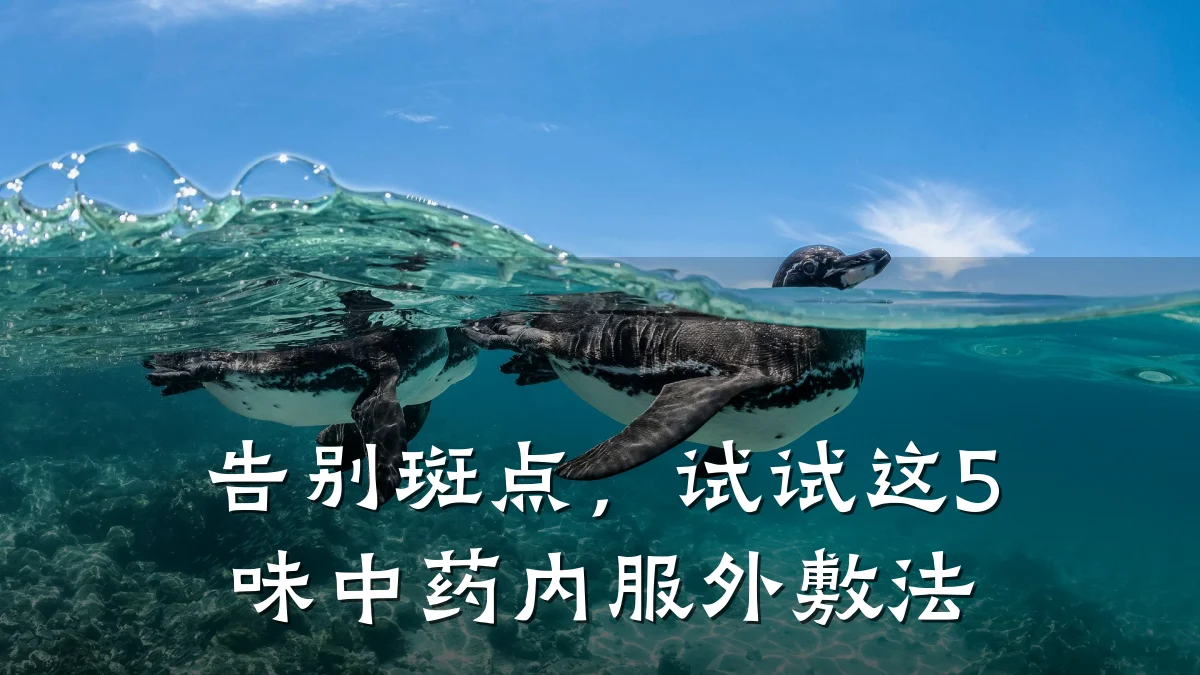 告别斑点,试试这5味中药内服外敷法