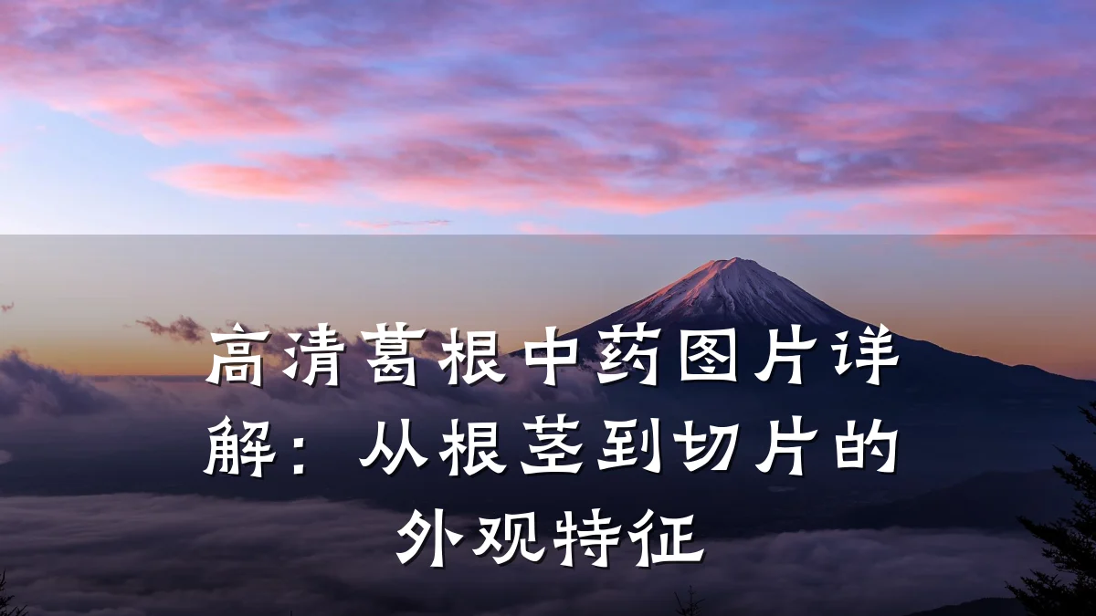 高清葛根中药图片详解:从根茎到切片的外观特征