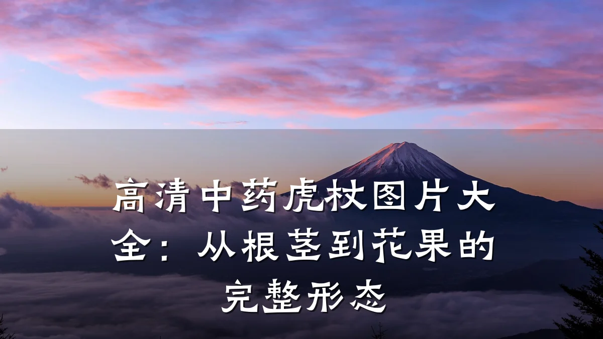 高清中药虎杖图片大全：从根茎到花果的完整形态