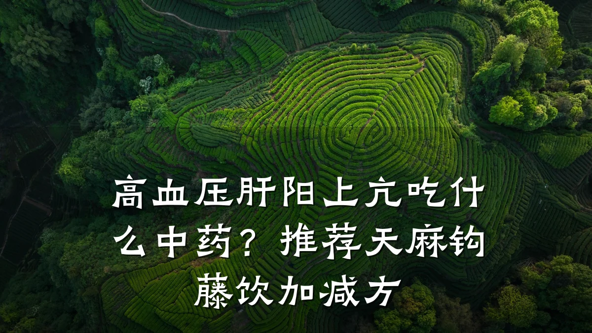 高血压肝阳上亢吃什么中药?推荐天麻钩藤饮加减方