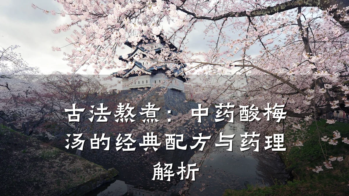 古法熬煮:中药酸梅汤的经典配方与药理解析