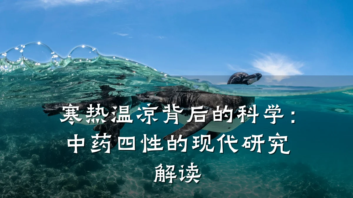寒热温凉背后的科学:中药四性的现代研究解读