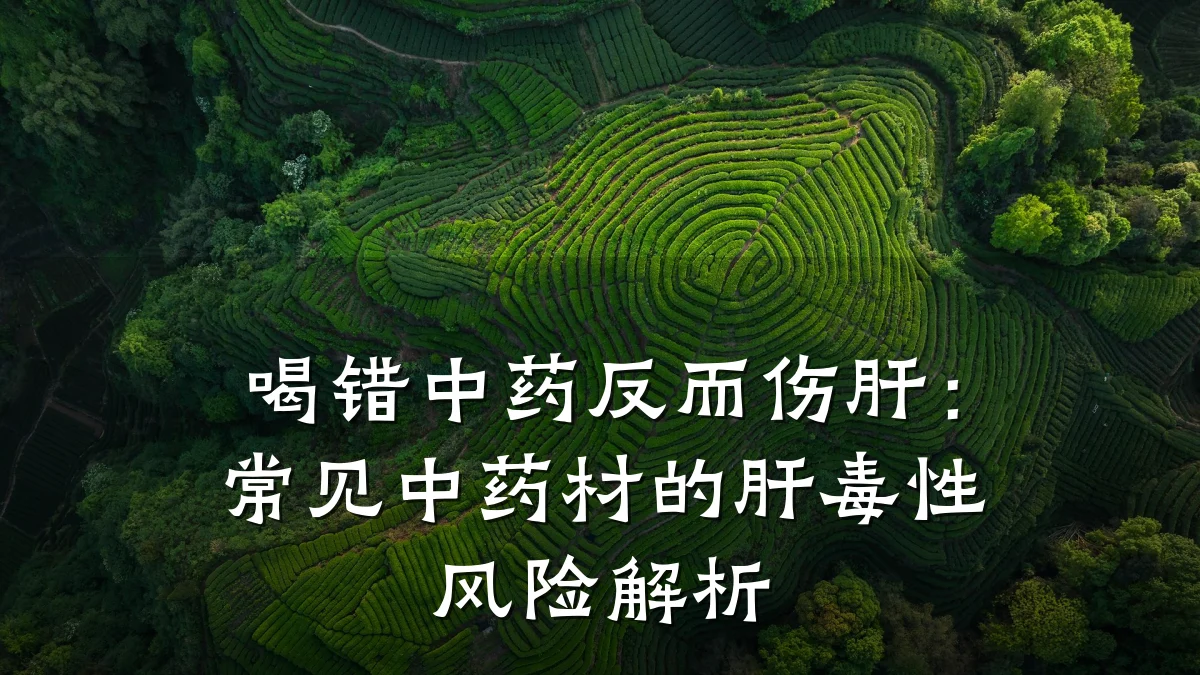 喝错中药反而伤肝:常见中药材的肝毒性风险解析