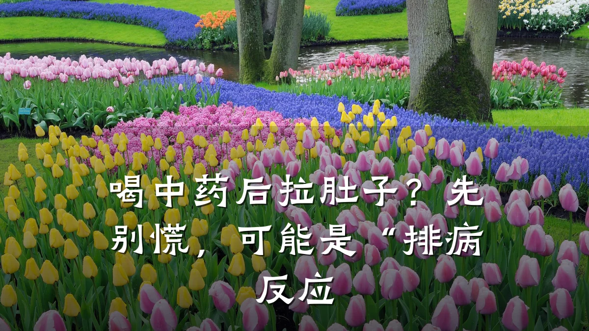 喝中药后拉肚子?先别慌,可能是“排病反应