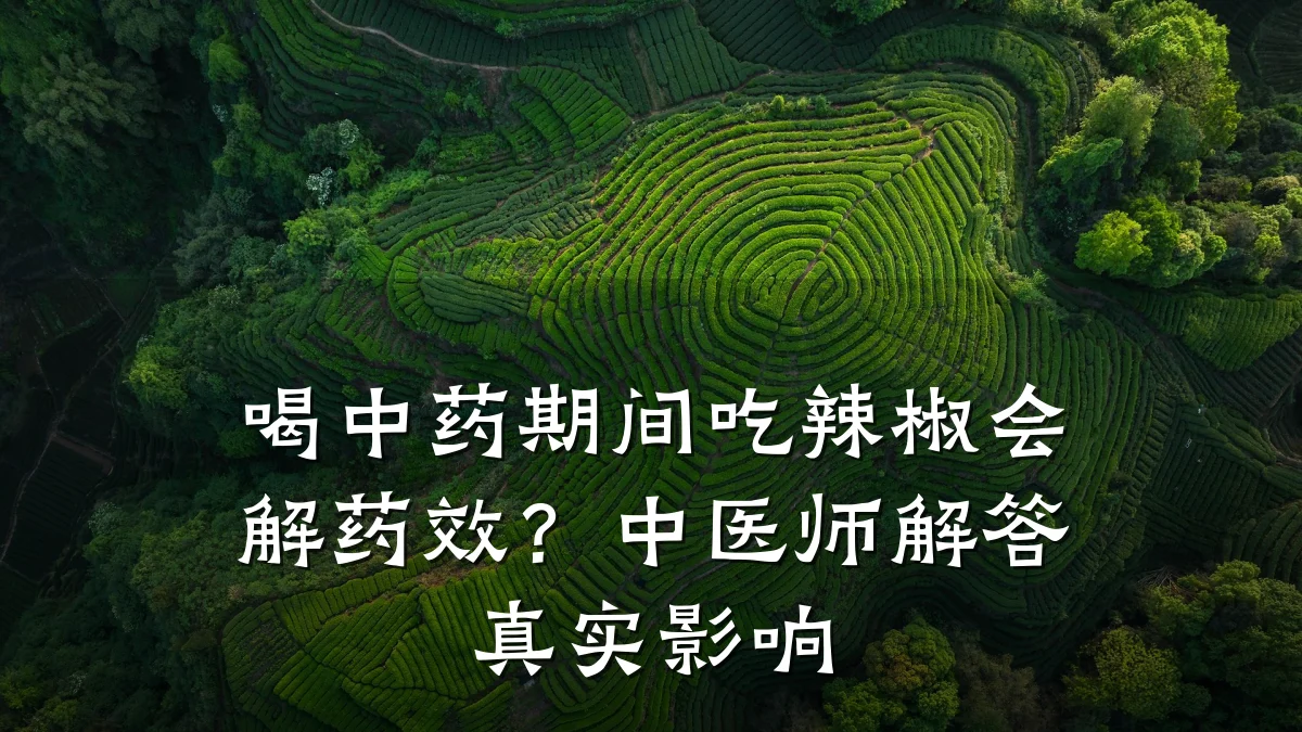喝中药期间吃辣椒会解药效?中医师解答真实影响