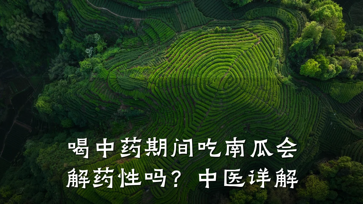 喝中药期间吃南瓜会解药性吗?中医详解