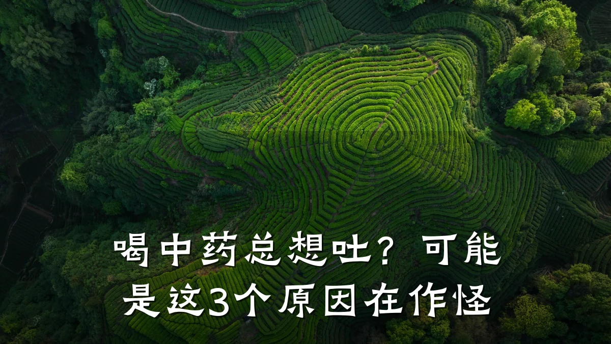 喝中药总想吐？可能是这3个原因在作怪