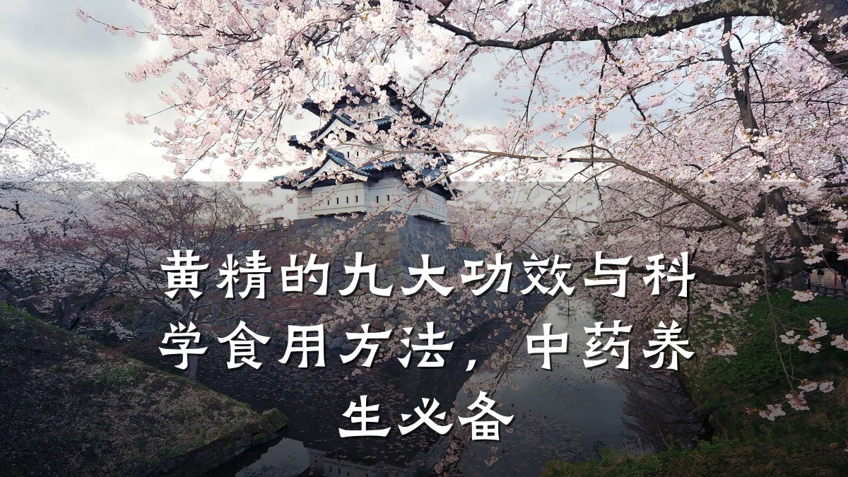 黄精的九大功效与科学食用方法,中药养生必备