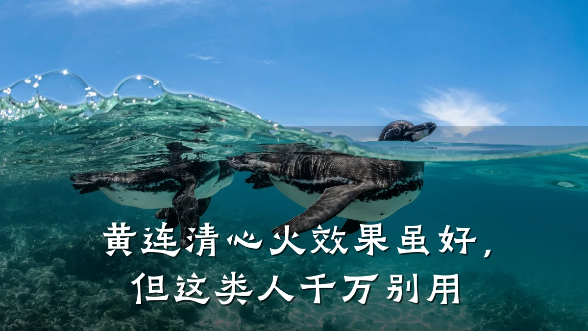 黄连清心火效果虽好,但这类人千万别用