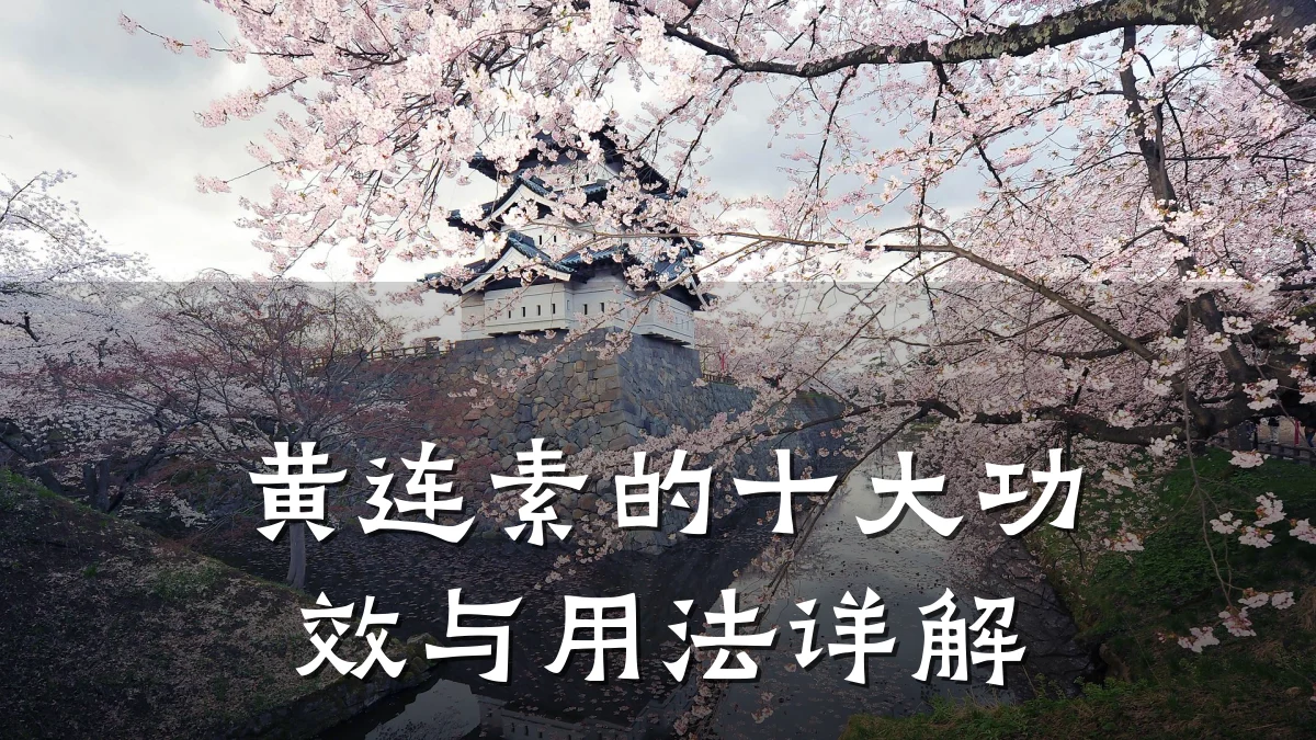 黄连素的十大功效与用法详解