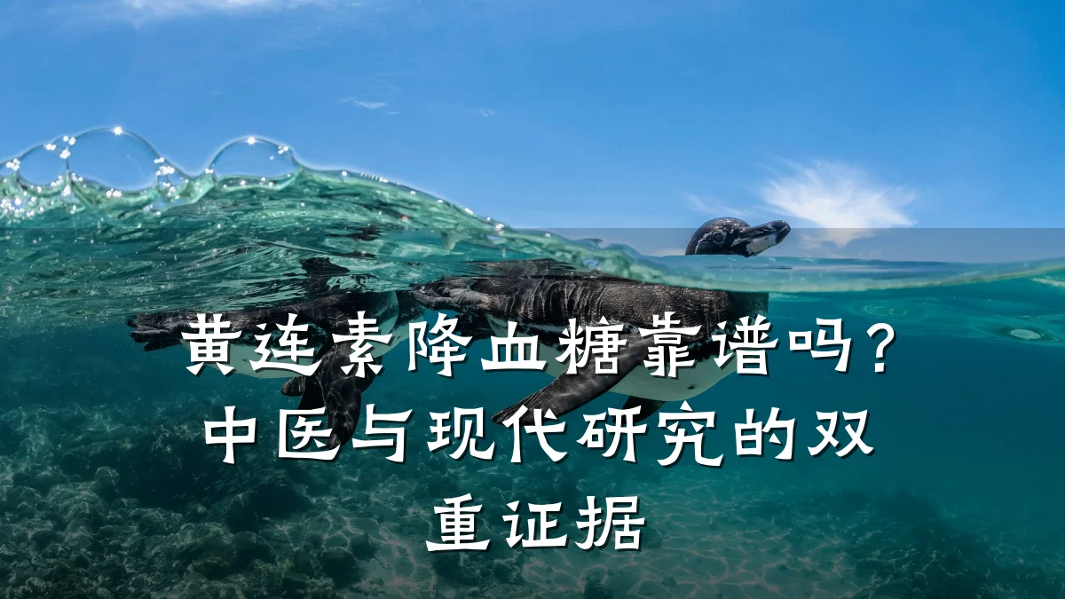 黄连素降血糖靠谱吗?中医与现代研究的双重证据