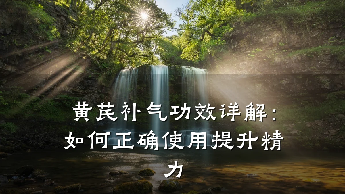 黄芪补气功效详解:如何正确使用提升精力