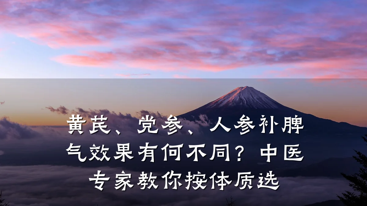 黄芪、党参、人参补脾气效果有何不同?中医专家教你按体质选