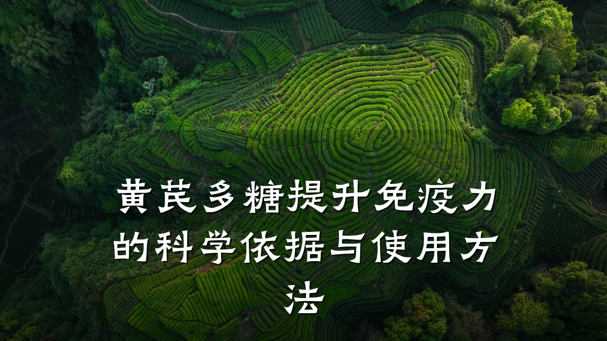 黄芪多糖提升免疫力的科学依据与使用方法