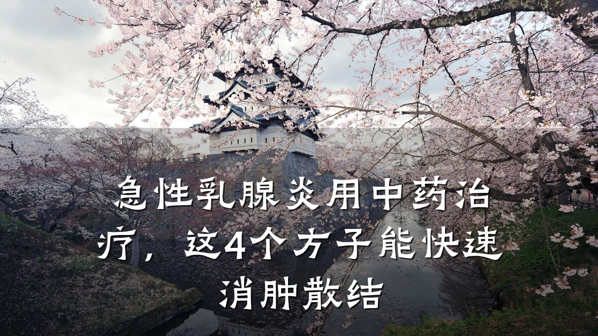 急性乳腺炎用中药治疗,这4个方子能快速消肿散结