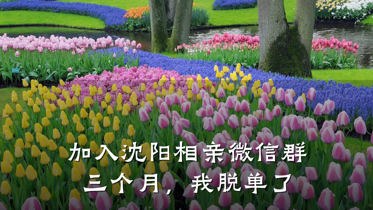 加入沈阳相亲微信群三个月,我脱单了