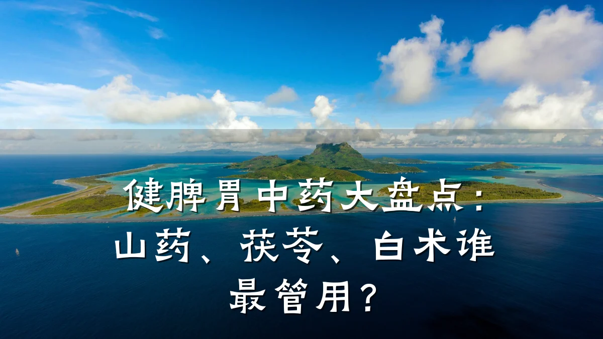 健脾胃中药大盘点:山药、茯苓、白术谁最管用?