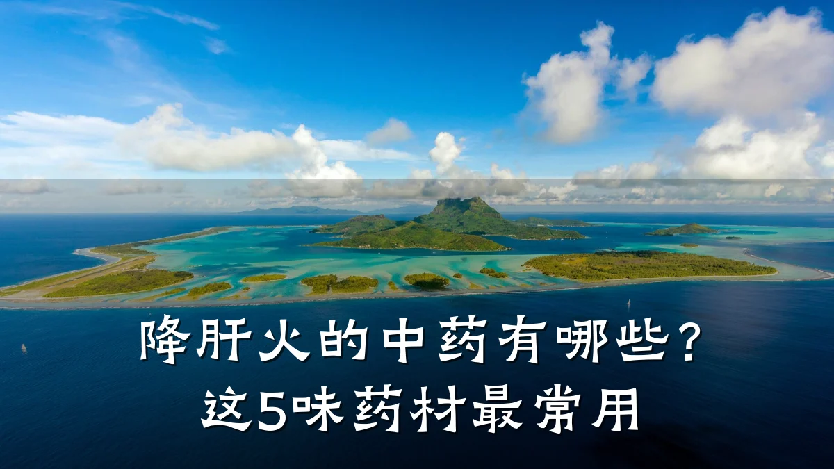 降肝火的中药有哪些?这5味药材最常用